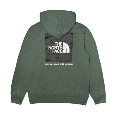 TNF Mint Green Hoodie with Back Logo Print Casual Sportswear NF0A7UNS-WTQ