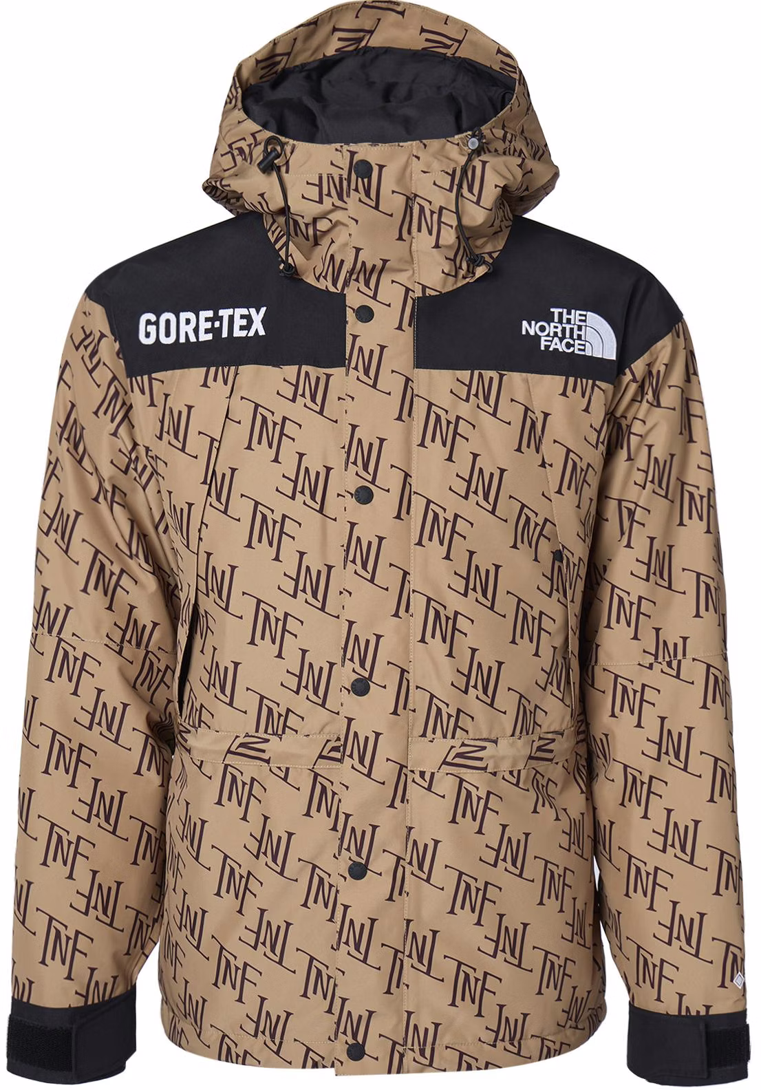 the-north-face-mountain-gore-tex-embroidered-hooded-down-jacket-almond-unisex-nf-0-a831-k-olz