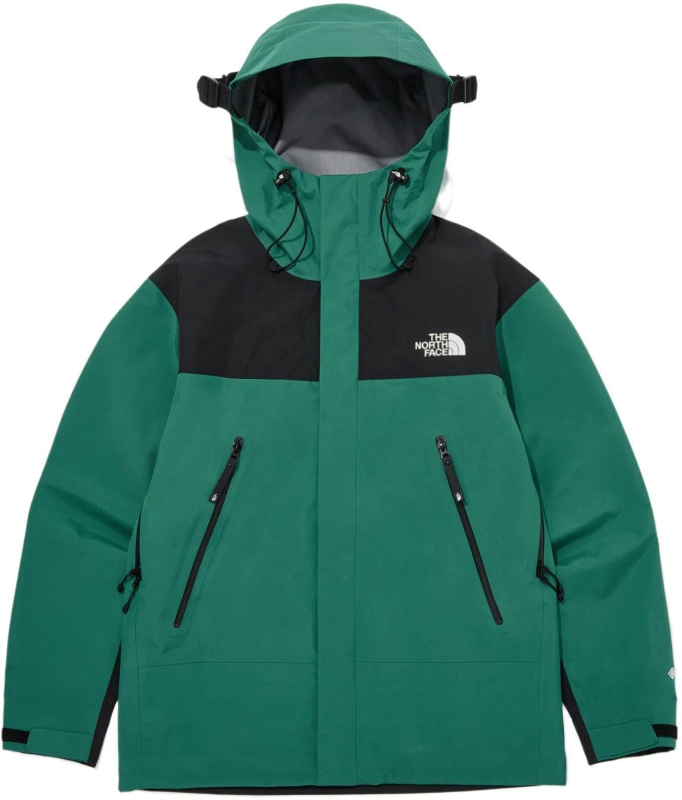 the-north-face-mountain-gtx-gore-tex-l3-unisex-green-waterproof-windproof-jacket-nj-2-gq-01-c