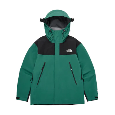 TNF Mountain GTX GTX L3 Unisex Green Waterproof Windproof Jacket NJ2GQ01C