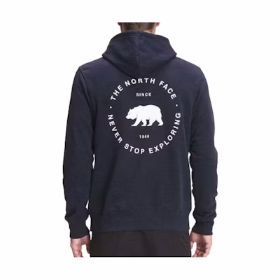 TNF Navy Logo Print Pullover Hoodie NF0A7R8H-RG1