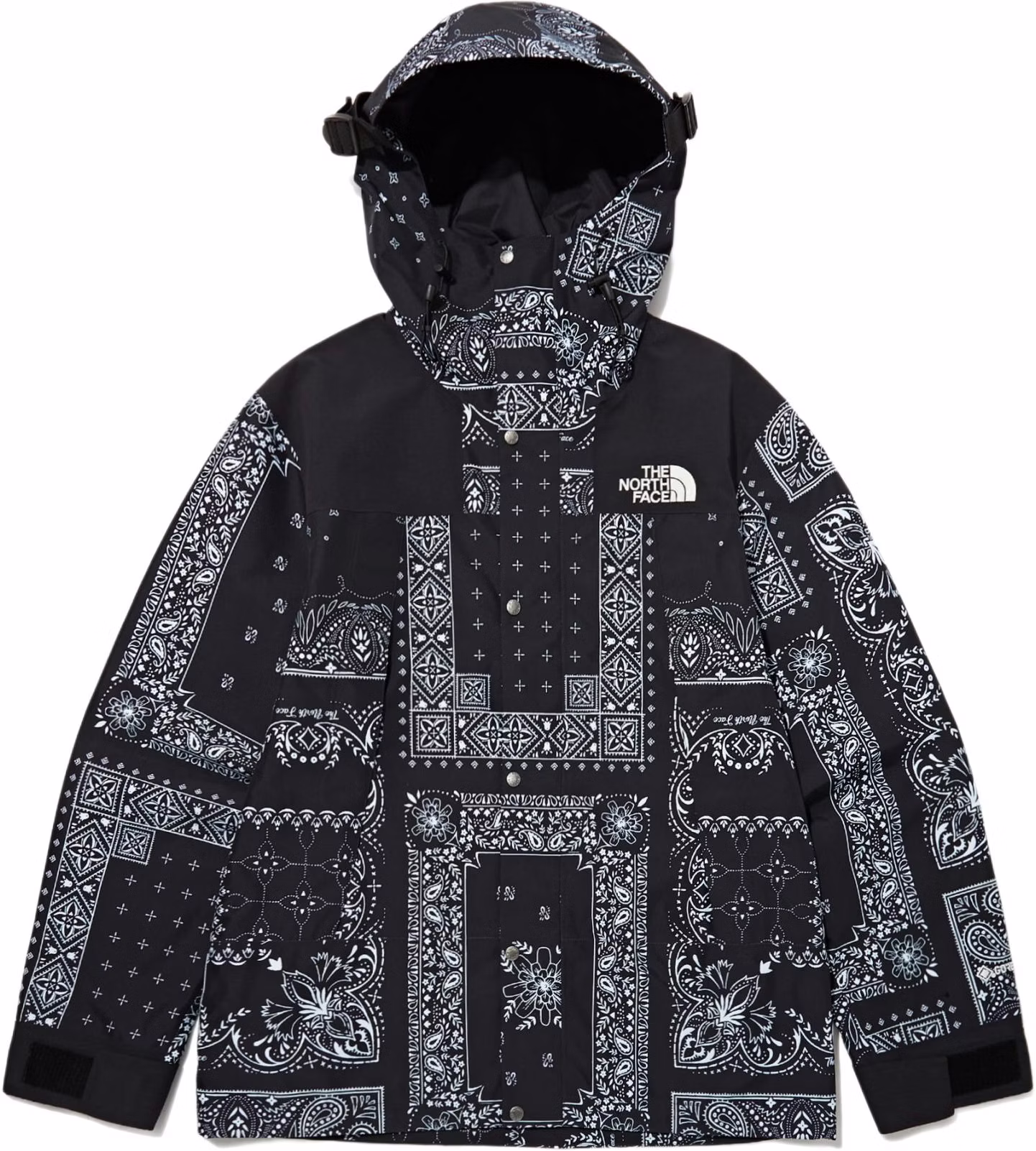 the-north-face-novelty-paisley-print-gore-tex-jacket-unisex-black-nj-2-gn-24-a