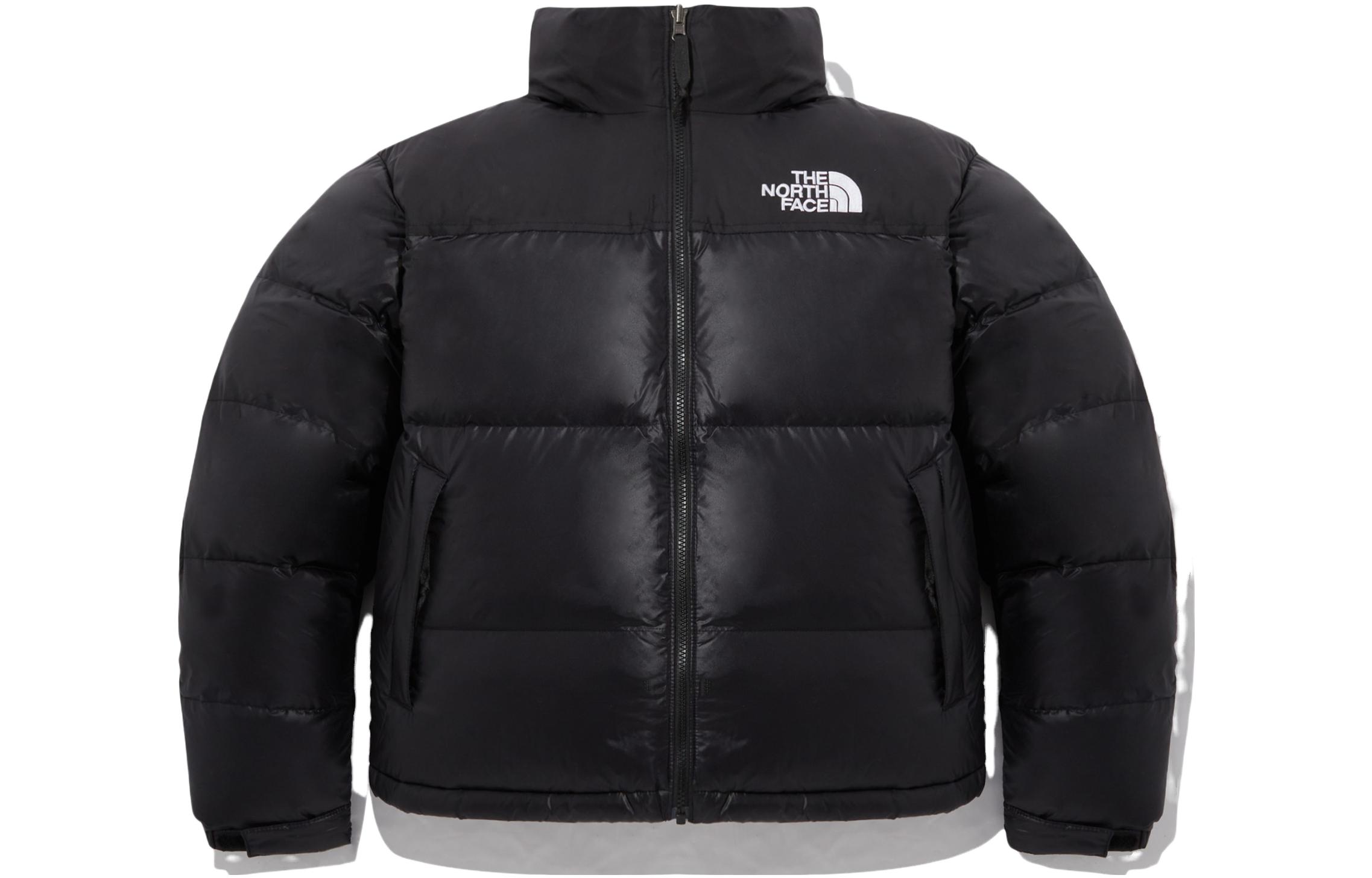 TNF Nuptse Down Hoodie Jacket Black Unisex Winter NJ1DM60A
