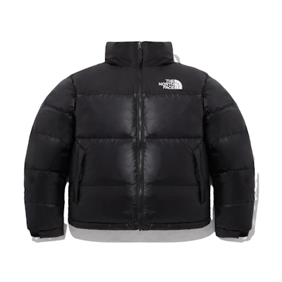 TNF Nuptse Down Hoodie Jacket Black Unisex Winter NJ1DM60A