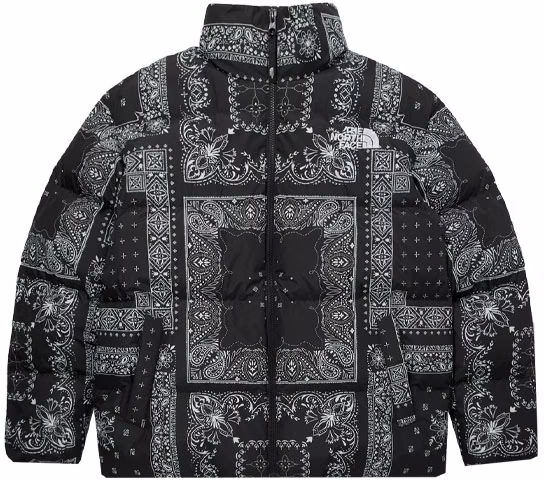 the-north-face-nuptse-paisley-puffer-jacket-unisex-black-nj-1-dm-64-d