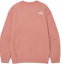 Lookbook The North Face 粉色刺繡Logo長袖圓領衫 NM5MN00E
