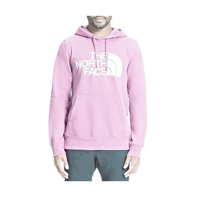 TNF Pink Pullover Hoodie Letter Print Long Sleeve NF0A7UNL-PKT