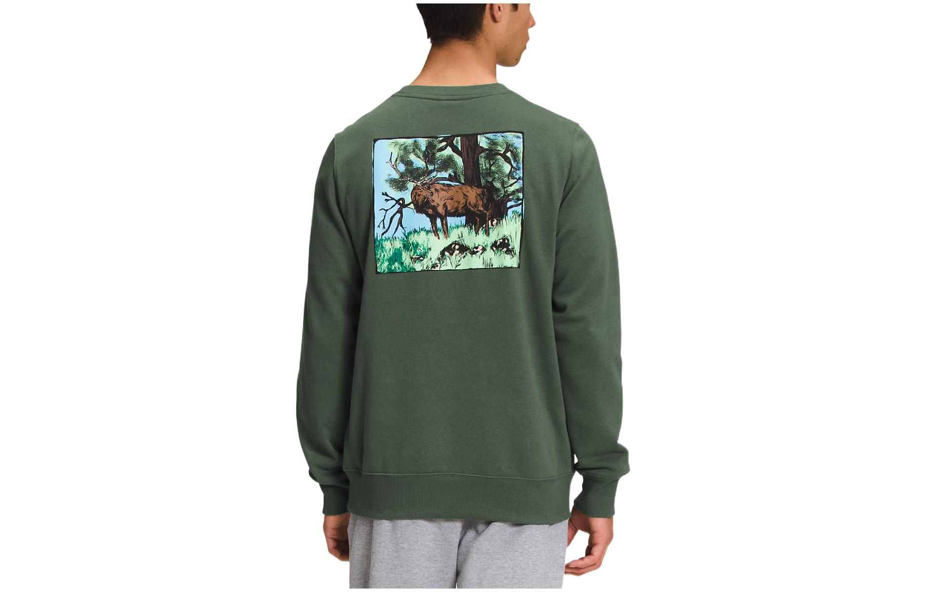 TNF Pullover Crewneck Sweatshirt with Nature Graphic Backprint NF0A7UO6-NYC
