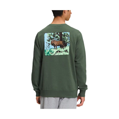 TNF Pullover Crewneck Sweatshirt with Nature Graphic Backprint NF0A7UO6-NYC