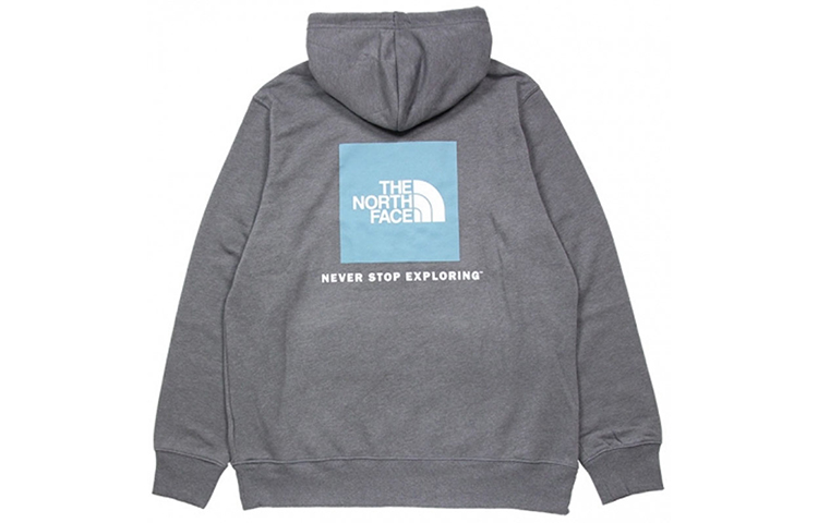 TNF Pullover Hoodie with Back Logo Print in Dark Gray NF0A4761-DYY
