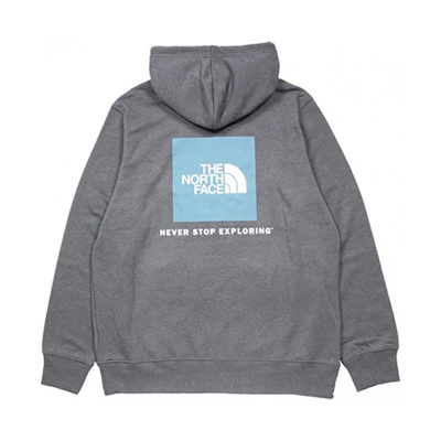TNF Pullover Hoodie with Back Logo Print in Dark Gray NF0A4761-DYY