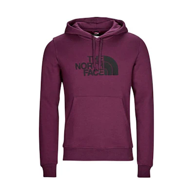TNF Purple Logo Hoodie Long-Sleeve Pullover NF00AHJY-I0H
