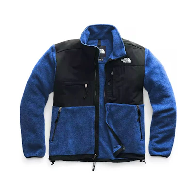 TNF Retro Denali Logo Print Fleece Jacket Blue NF0A3XCDCZ6