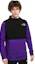 Shop The North Face Retro Fleece Pullover Hoodie Ungu Gaya Luarannya NF0A4VVU-S96