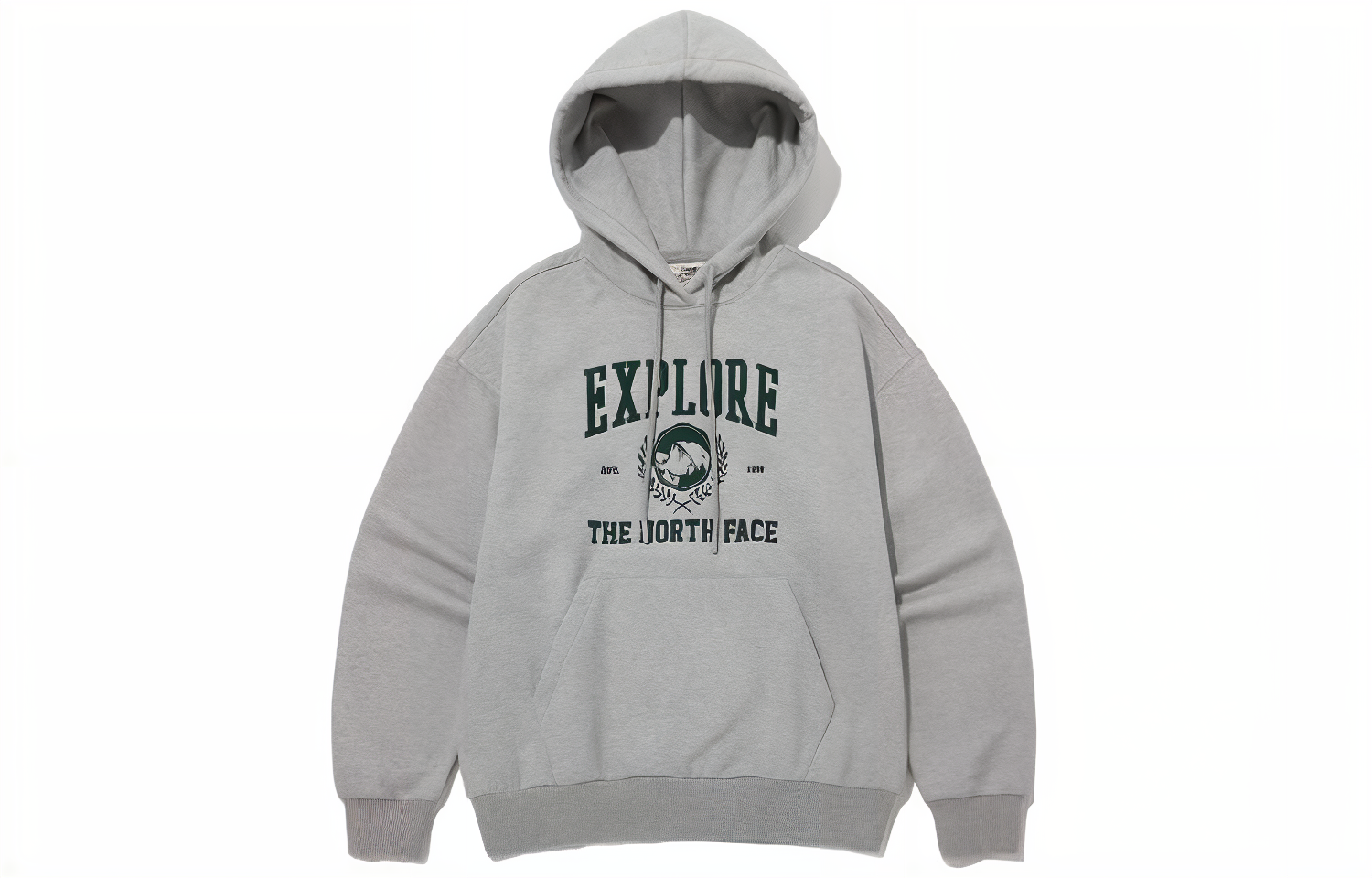 TNF Retro Letter Print Hoodie in Gray NM5PP51J