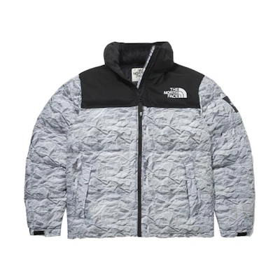 TNF Retro Nuptse Jacket Silver with Novelty Logo Unisex NJ1DM50K