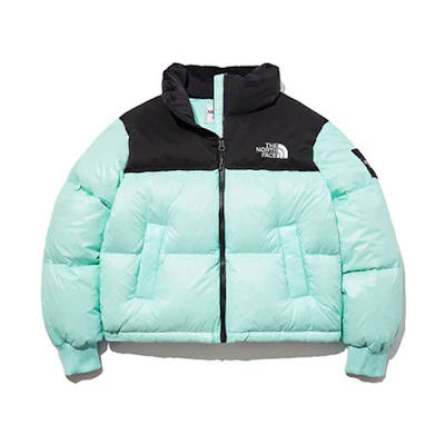 TNF Shiny Short Windproof Down Jacket Mint Green Unisex Winter NJ1DL81L
