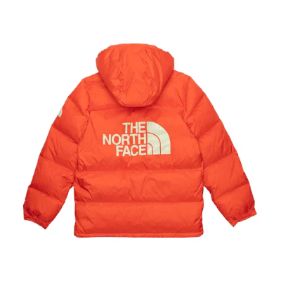TNF Sierra Colorblock Logo Print Down Jacket NF0A5EIE-0TV