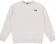 Buy The North Face Small Logo Crewneck Sweatshirt Unisex Light Gray NM5MM52B