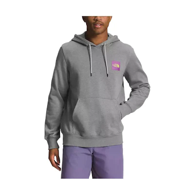 TNF Solid Color Hoodie Grey NF0A8121-DYY