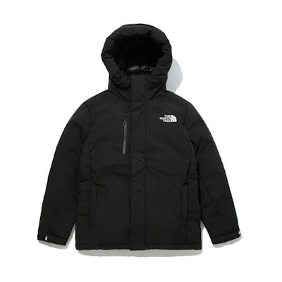 TNF Solid Color Small Logo Hooded Down Jacket NJ1DM75A