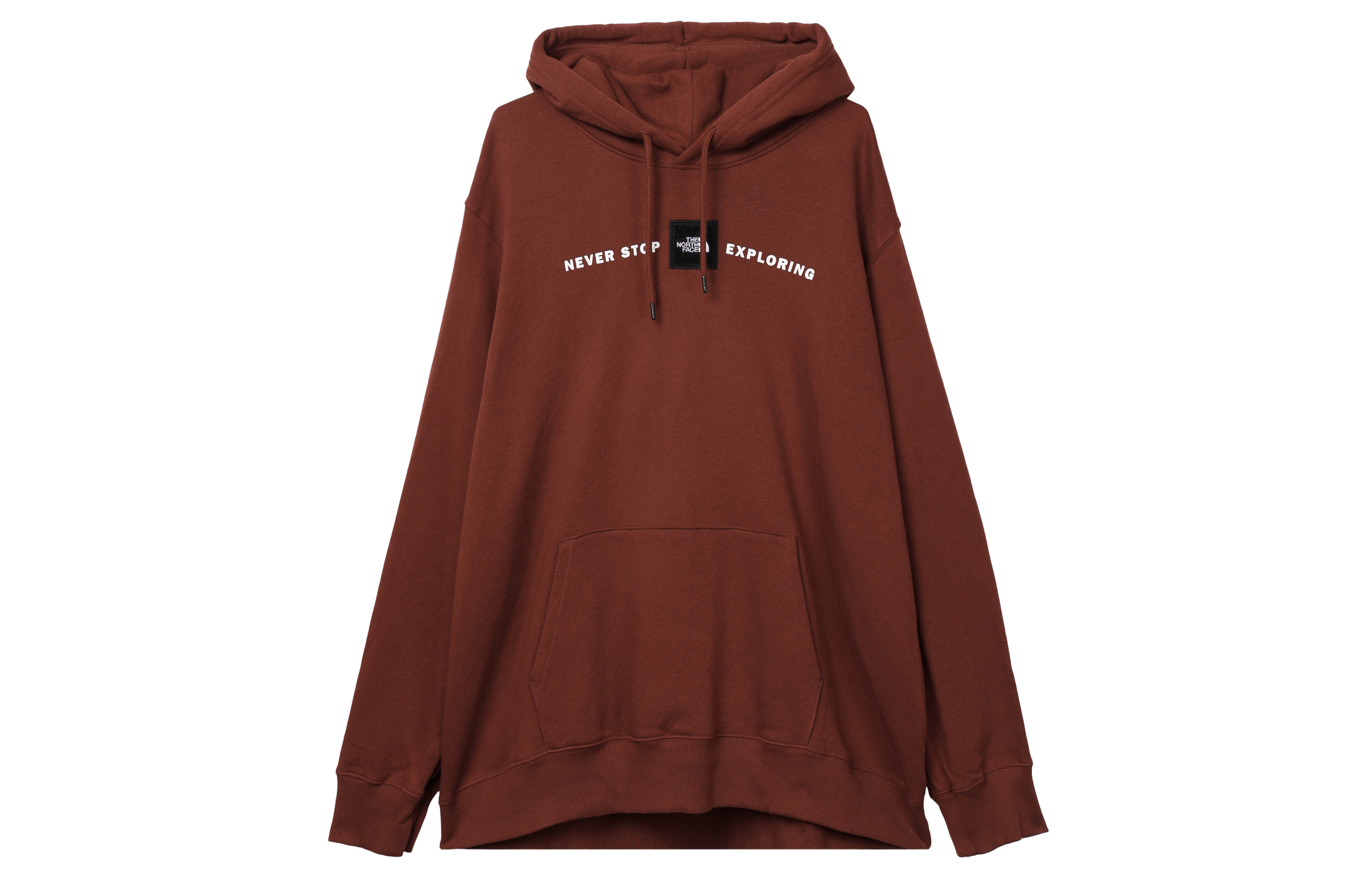 TNF Solid Logo Printed Hoodie Brick Red Long Sleeve NF0A3Y9J-BDQ