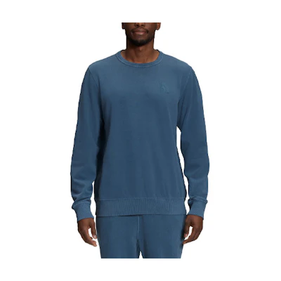TNF Solid Logo Pullover Sweatshirt Blue NF0A7UNX-HDC