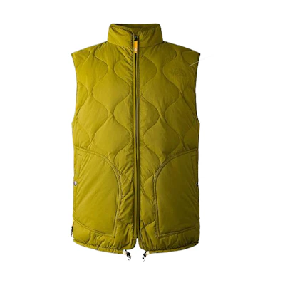 TNF Solid Logo Stand Collar Zip Vest Light Green NF0A83SD-I0N