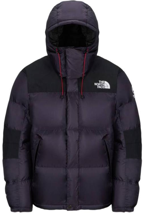 the-north-face-summit-series-gtx-waterproof-windproof-down-jacket-purple-unisex-nj-1-dq-60-c