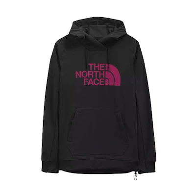 TNF Tekno Windproof Logo Hoodie Black Warm Sweatshirt NF0A3M4E-XD1