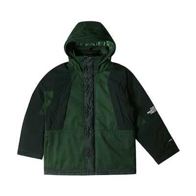 TNF UE FW23 Urban Exploration Green 700-Fill Down Jacket NF0A83Q2-I0P