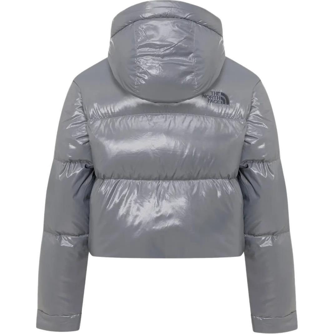 Lookbook Chaqueta Unisex con Capucha Gris The North Face Logo, Manga Larga y Cremallera. NJ1DQ81L