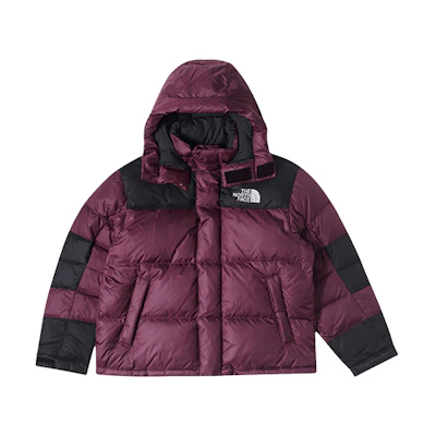 TNF Urban Exploration 600-Down Quilted Jacket with Detachable Hood Purple NF0A832G-KK9