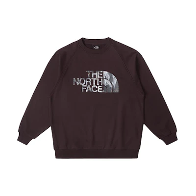 TNF Urban Exploration Baltoro Logo Print Crewneck Brown Sweatshirt NF0A89T4-I0I