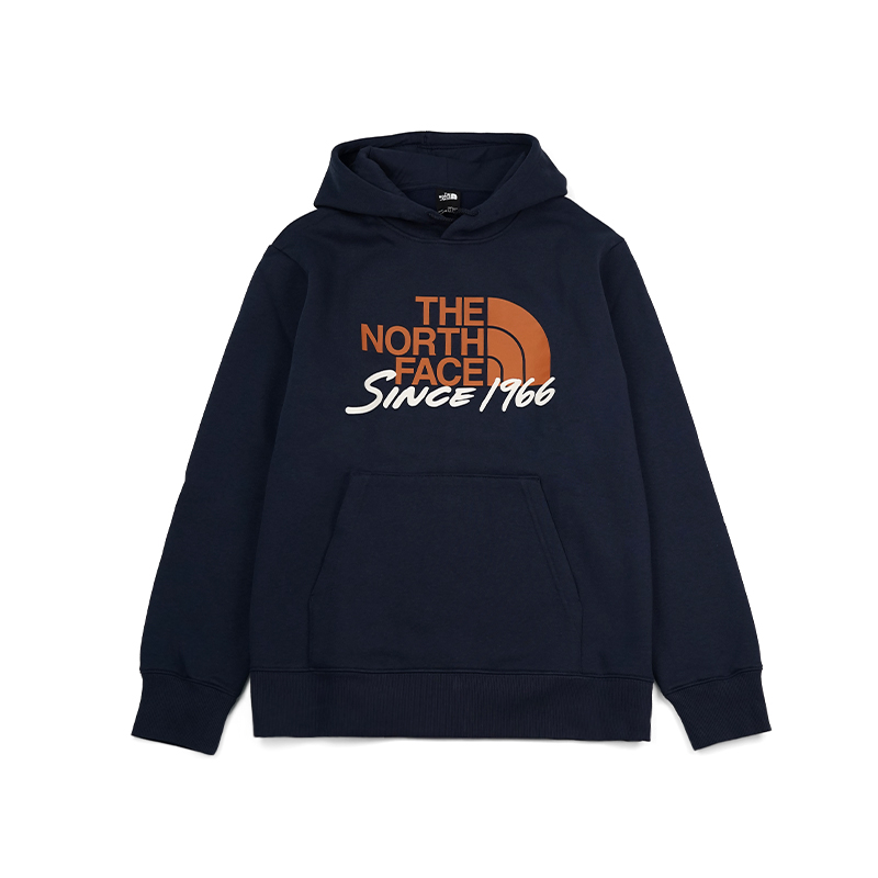 TNF Urban Exploration Blue Logo Print Fleece Hoodie for Men NF0A88FS-8K2