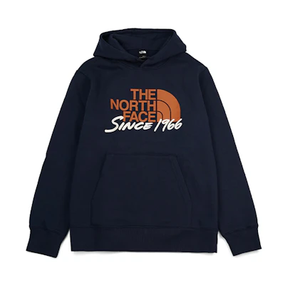 TNF Urban Exploration Blue Logo Print Fleece Hoodie for Men NF0A88FS-8K2