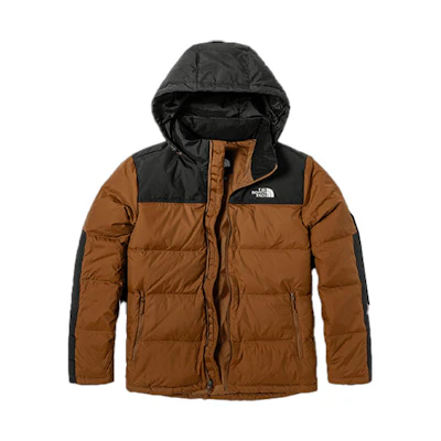TNF Urban Exploration Brown Colorblock Down Jacket Mens Winter NF0A4U82-0M2