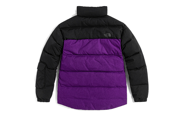 TNF Urban Exploration Colorblock Down Jacket Unisex Purple. NF0A5JU9-JC0 圖 3
