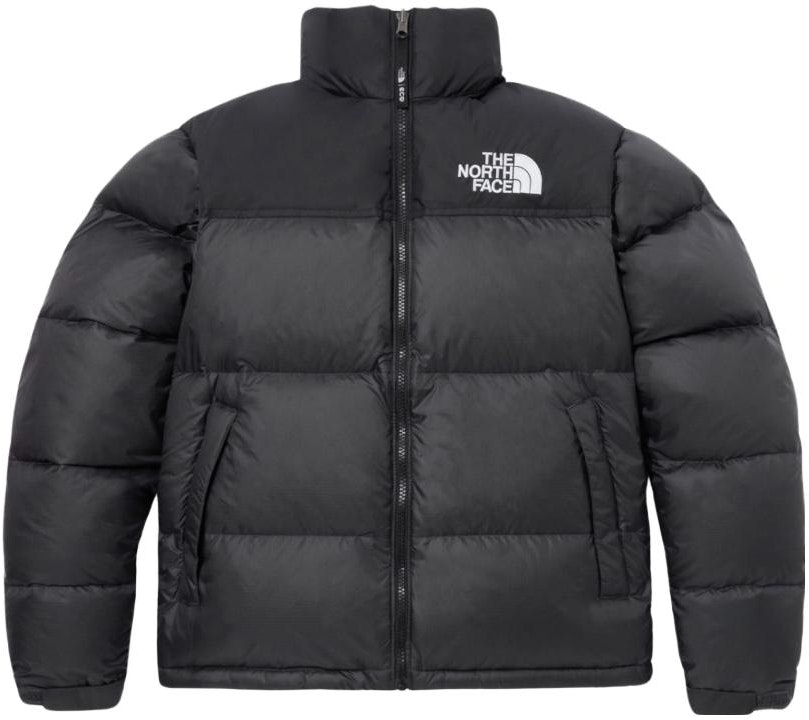 the-north-face-urban-exploration-fw-23-1996-eco-goose-down-jacket-stone-gray-nj-1-dp-75-f