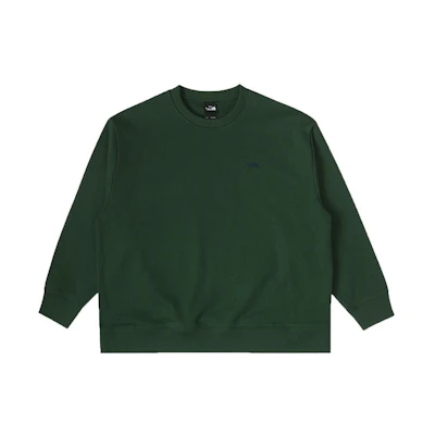 TNF Urban Exploration Solid Logo Crewneck Sweatshirt Green NF0A83PU-I0P