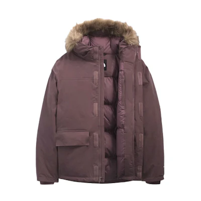 TNF Urban Exploration Waterproof Parka with Down, Pink NF0A5GD8-0KZ