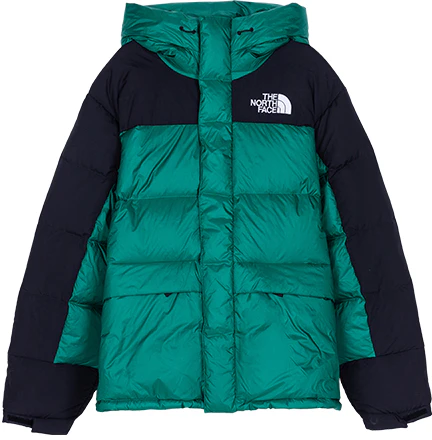 the-north-face-winter-windproof-water-resistant-hooded-puffer-jacket-green-nf-0-a4-qyx-nl-1
