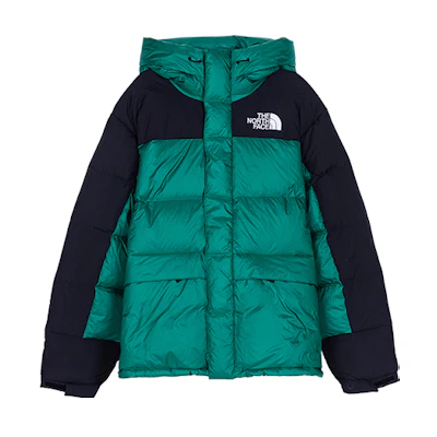 TNF Winter Windproof Water-Resistant Hooded Puffer Jacket Green NF0A4QYX-NL1
