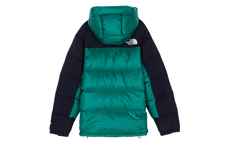 Lookbook The North Face Jaket Puffer Hijau Tahan Angin & Air dengan Hoodie untuk Musim Dingin NF0A4QYX-NL1
