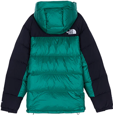 The North Face Jaket Puffer Hijau Tahan Angin & Air dengan Hoodie untuk Musim Dingin NF0A4QYX-NL1 Lookbook The North Face Jaket Puffer Hijau Tahan Angin & Air dengan Hoodie untuk Musim Dingin NF0A4QYX-NL1