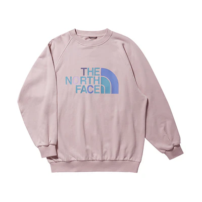 TNF CLOT SS23 Logo Print Retro Outdoor Sweatshirt NF0A873F-LK6