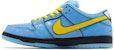 The Powerpuff Girls x Nike Dunk Low Pro SB QS 'Bubbles' - Kasut Wanita Bergaya. FZ8320-400