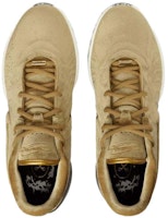 ザ・ショップ × ナイキ レブロン21 EP "ノビリティ" FZ7884-700 Shop ザ・ショップ × ナイキ レブロン21 EP "ノビリティ" FZ7884-700