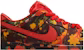 The Wizard of Oz x Nike Dunk Low SB 'Padang Bunga Poppy' FZ1291-600
