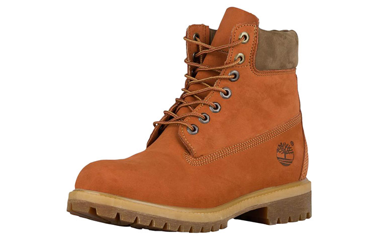 Buy Timberland 6英寸高帮防水靴‘棕色’ A17YCD49